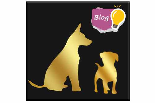 conseils-alimentaires-chiot